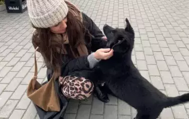Odwiedziny schroniska w Mielcu &bdquo;Pies i Kot&rdquo; 1