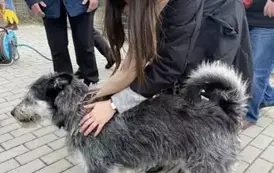 Odwiedziny schroniska w Mielcu &bdquo;Pies i Kot&rdquo; 8