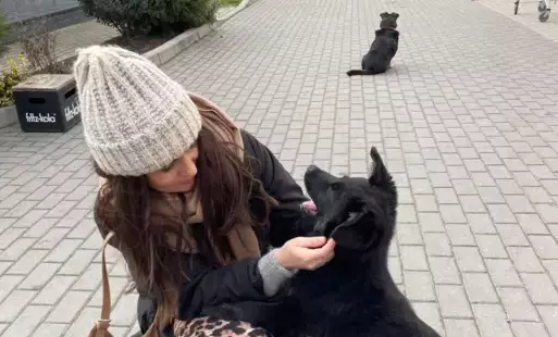 Czarny piesek z radości wskakuje na kobietę, która przy nim przykucnęła.